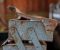 a rusted metal object sitting on top of a table